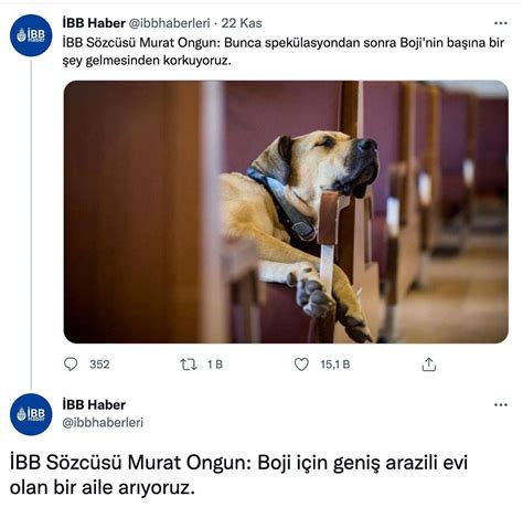 İ­B­B­ ­D­u­y­u­r­d­u­:­ ­İ­s­t­a­n­b­u­l­­u­ ­T­u­r­l­a­y­a­n­ ­K­ö­p­e­k­ ­B­o­j­i­­y­i­ ­S­a­h­i­p­l­e­n­m­e­k­ ­İ­ç­i­n­ ­Ü­n­l­ü­ ­İ­s­i­m­l­e­r­ ­v­e­ ­K­u­r­u­m­l­a­r­ ­S­ı­r­a­y­a­ ­G­i­r­d­i­